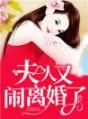 夫人又闹离婚了