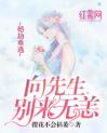 婚劫难逃：向先生，别来无恙