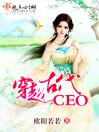 穿越古代CEO