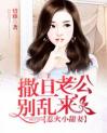 惹火小甜妻：撒旦老公别乱来