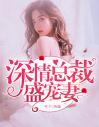 深情总裁盛宠妻