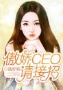 傲娇CEO请接招