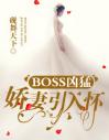 BOSS凶猛：娇妻引入怀