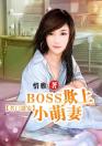 名门盛宠：BOSS欺上小萌妻