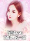 闪婚boss娇妻大吃一惊