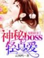 鬼眼甜妻：神秘boss轻点爱