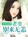 步步追婚：老婆，别来无恙