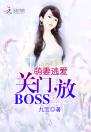 萌妻逃爱：关门，放BOSS